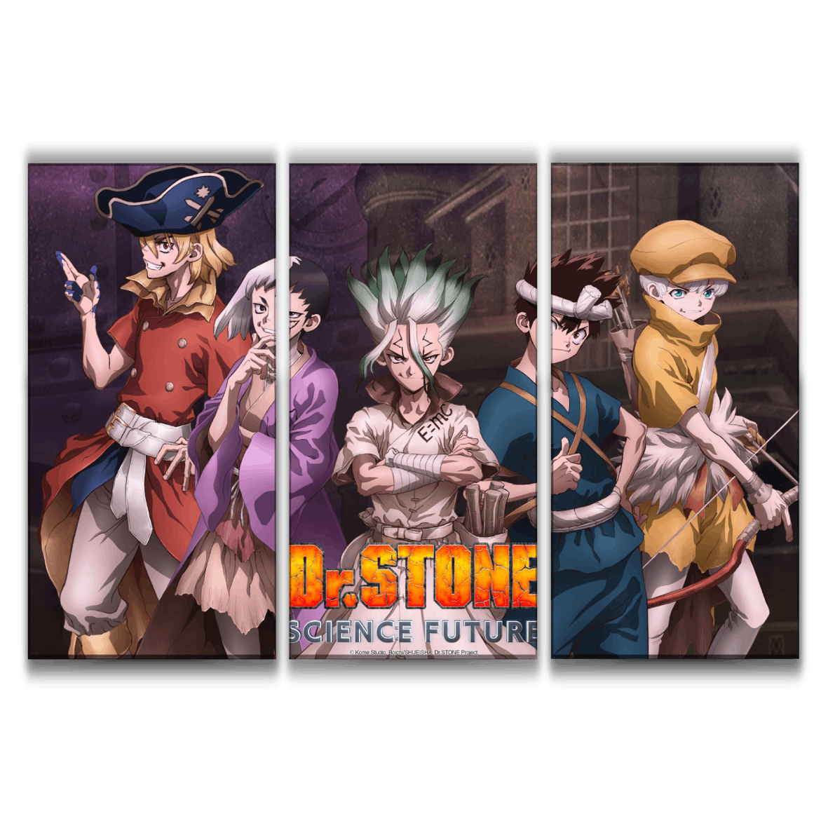 Dr. Stone Artwork Poster