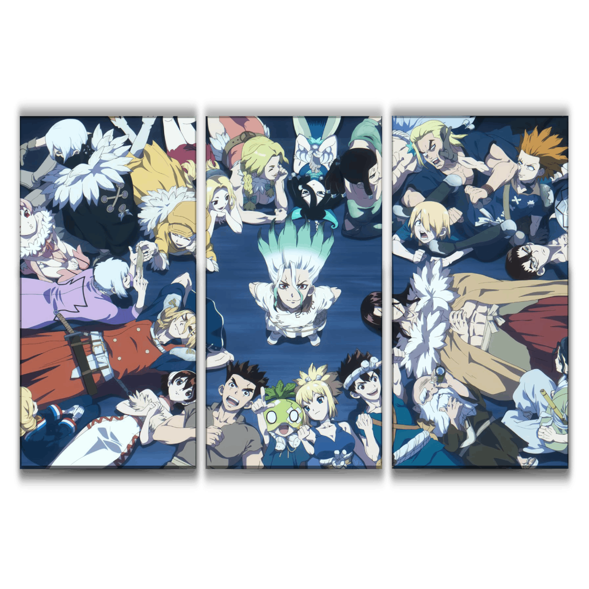 Dr. Stone Characters Poster