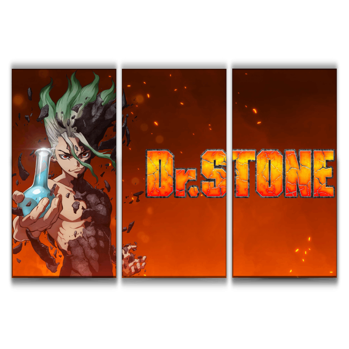 Dr. Stone Senku Poster