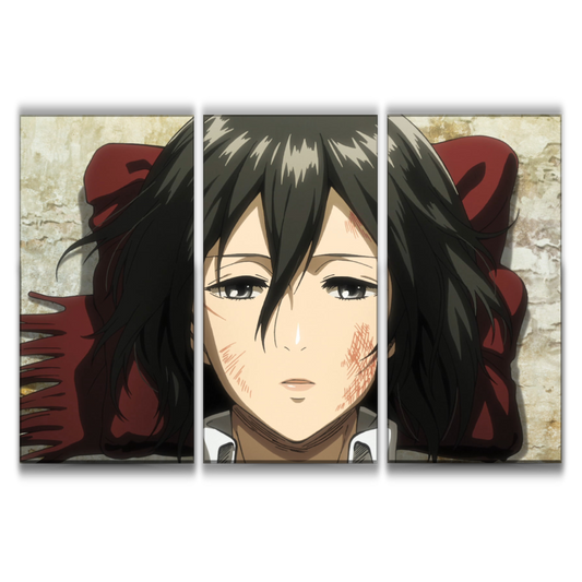 Mikasa Wall Decor