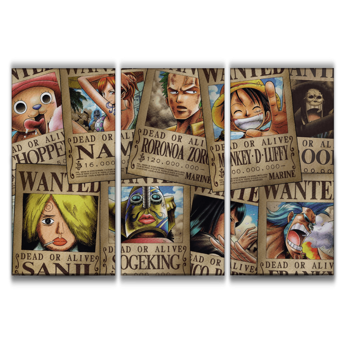 One Piece Wanted Poster
