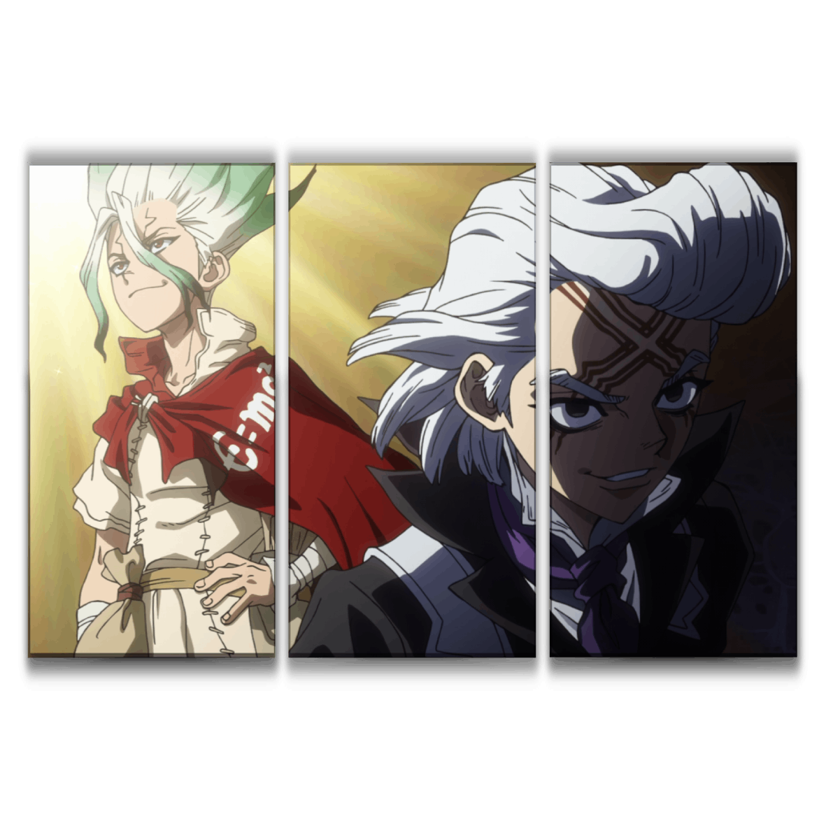 Xeno & Senku Poster